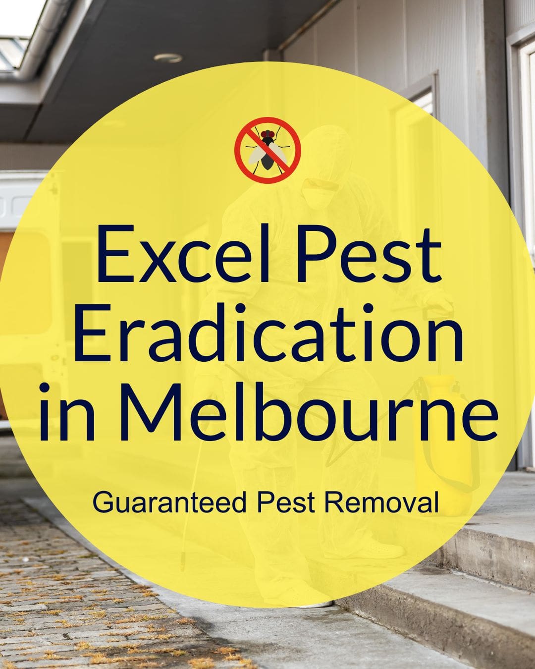 Excel Pest Control Your Trusted Pest Management Partner