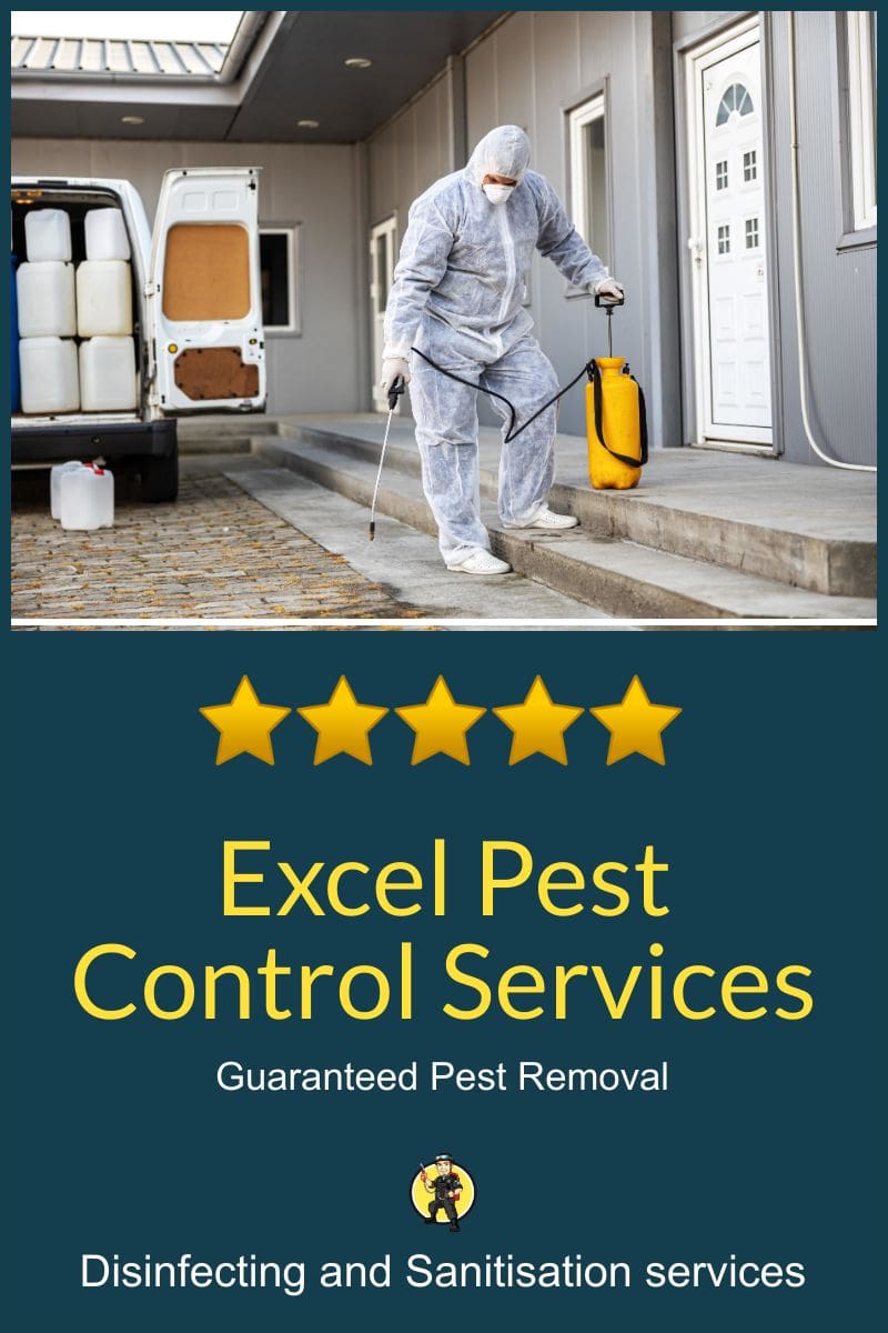 Excel Pest Control Your Trusted Pest Management Partner